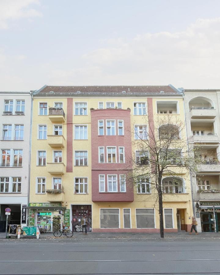 Homaris Boxi *